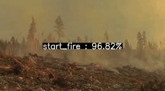 Forest fire detection using CNN